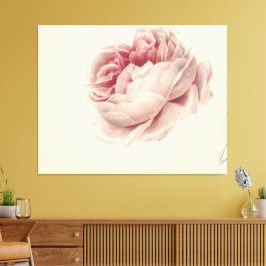 Roze Roos (1792) – Arte botánico vintage atemporal