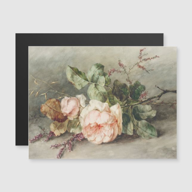 Rozen de Margaretha Roosenboom (Anverso/Reverso)