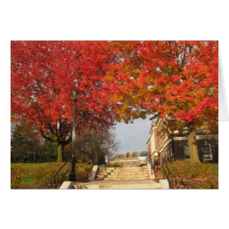 RPI maples rojos