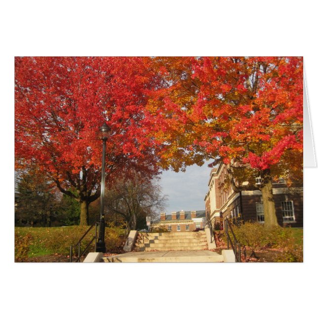RPI maples rojos (Anverso (Horizontal))