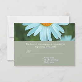 RSVP de boda de flor de margarita blanca pura