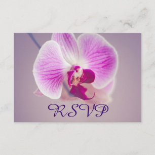 RSVP de boda de orquídeas púrpura radiante