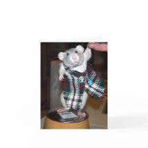 Rubí en su tarjeta de la falda escocesa