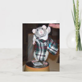 Rubí en su tarjeta de la falda escocesa