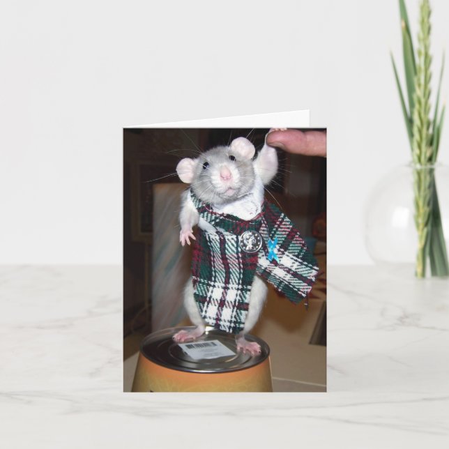 Rubí en su tarjeta de la falda escocesa (Anverso)