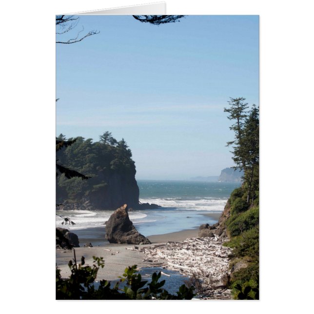 Ruby Beach on the Olympic Peninsula, WA (Frente)