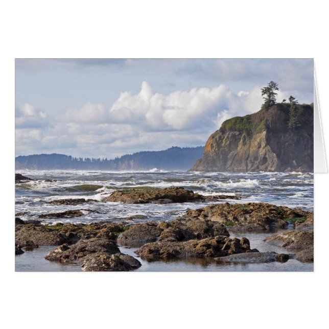 Ruby Beach on the Olympic Peninsula, Washington (Anverso (Horizontal))