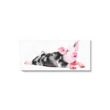 Ruby, cerdo con lápiz labial impreso en lienzo