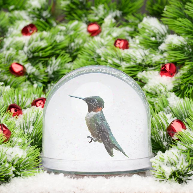 Ruby-Throated Hummingbird Bird Photography (Navidad)