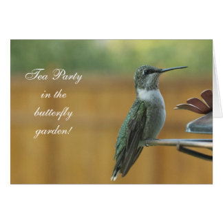 Ruby Throed Hummingbird
