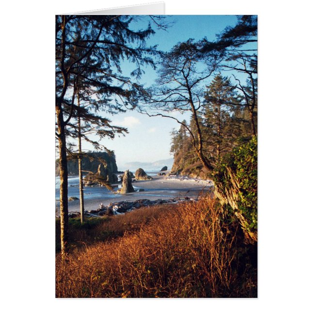 RubyBeach (Frente)
