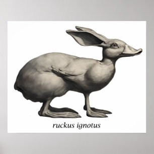 Ruckus Ignotus - Impresión de archivo