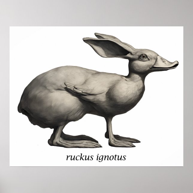 Ruckus Ignotus - Impresión de archivo (Frente)