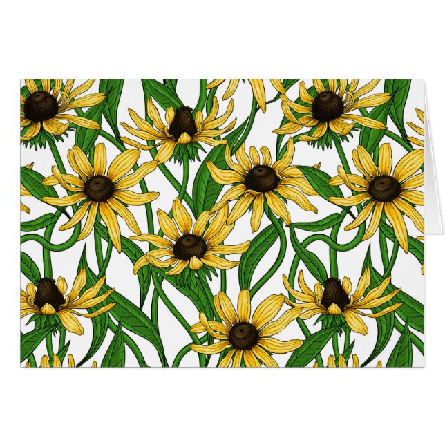 Rudbekia amarilla sobre blanco (Anverso (Horizontal))