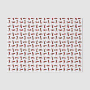 Rudolph, papel seda