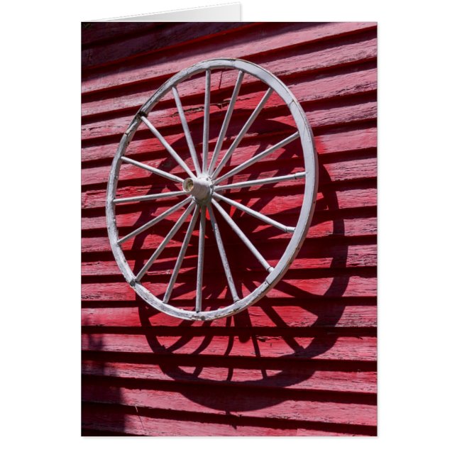 Rueda de carro (Frente)
