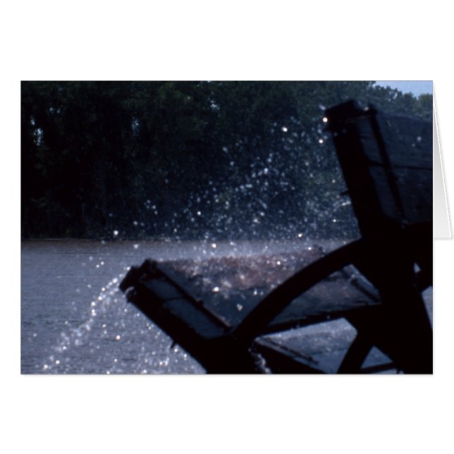 Rueda de paleta (Anverso (Horizontal))