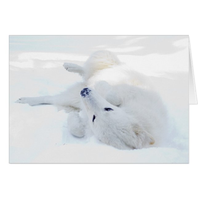 Rueda en la nieve (Anverso (Horizontal))