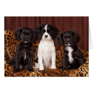 Rufas, Micah y Ace