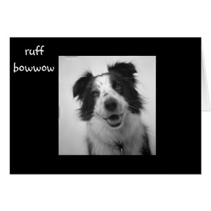 RUFF BOWOW "CUARENTA CUMPLEAÑOS"