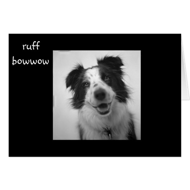 RUFF BOWOW "CUARENTA CUMPLEAÑOS" (Anverso (Horizontal))