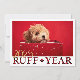 Ruff Year Puppy Love Navidad Card