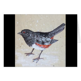 Rufus A Un Lado Hacia Hee