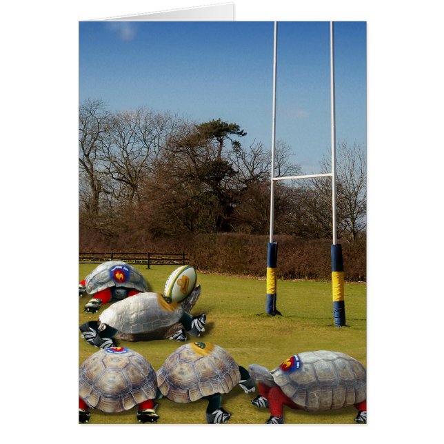 Rugby de tortuga (Frente)