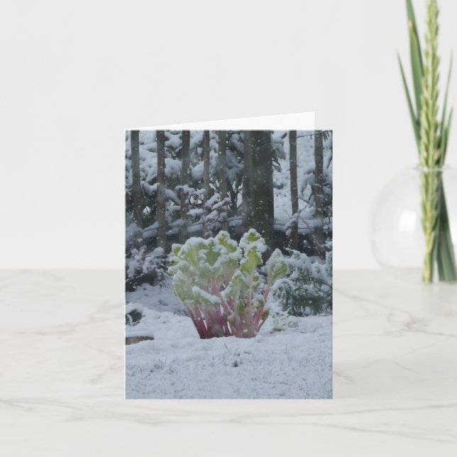 Ruibarbo en tarjeta de nieve (Anverso)