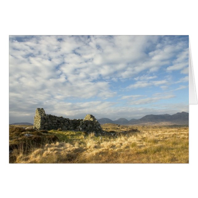 Ruina irlandesa (Anverso (Horizontal))