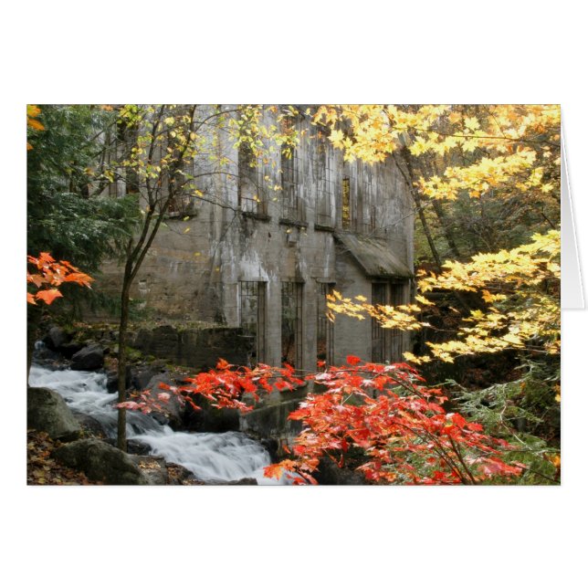 Ruinas de Willson, Quebec. (Anverso (Horizontal))
