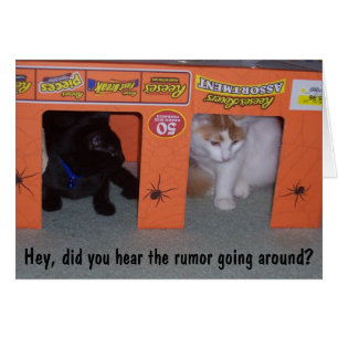 RUMOR EN LA COMUNIDAD CAT 4Oth