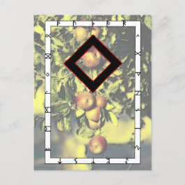 Rune Ingwaz — Tarjeta postal Hero