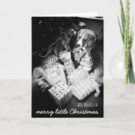 Rupert la tarjeta de Navidades Beagle