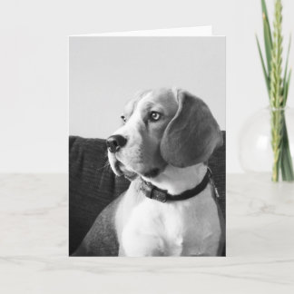 Rupert la tarjeta de saludos Beagle Dog Blank