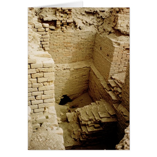 Ruptura del palacio (Frente)