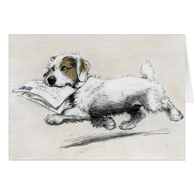 Russell Terrier envía correo (Anverso (Horizontal))