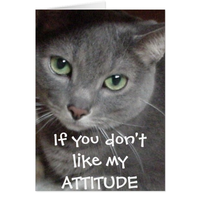 Russian Blue Gray Cat Attitude Humor (Frente)
