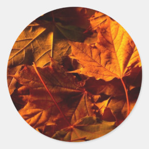 Rústica Caída Sale Sello Personalizado Invitación