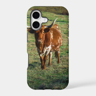 Rústica de la foto de vaca bovina de Londres en Te
