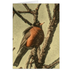 Rústicas ramas Michigan State Bird Robin