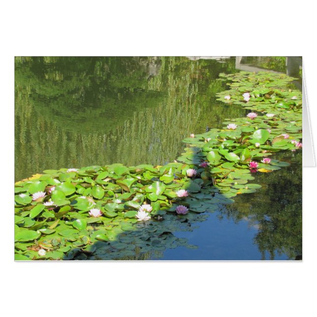 Ruta de acceso a Lotus (Anverso (Horizontal))