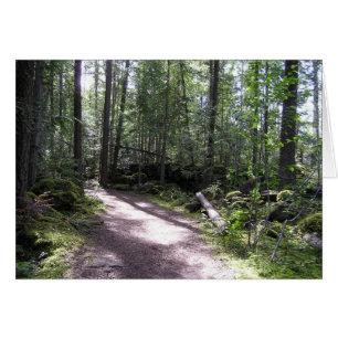 ruta de acceso al bosque