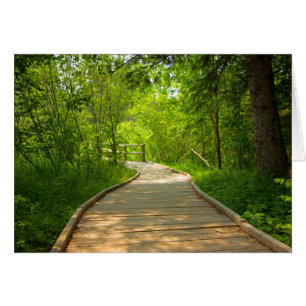 Ruta de acceso enlazada en árbol