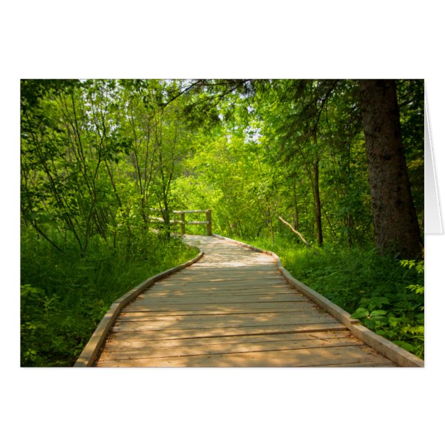 Ruta de acceso enlazada en árbol (Anverso (Horizontal))