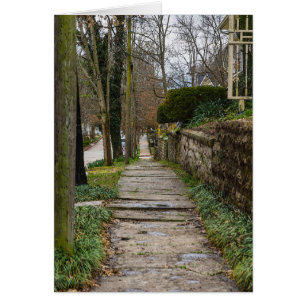 Ruta de acceso sin niveles