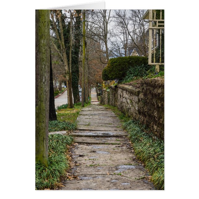 Ruta de acceso sin niveles (Frente)