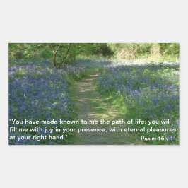 Ruta de la vida | PEGATINAS