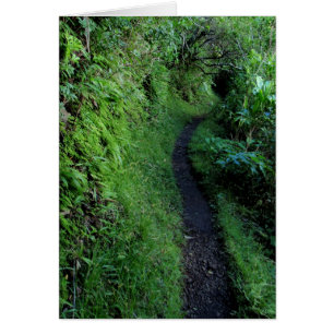 Ruta de los acantilados de Manoa