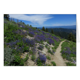 Ruta de senderismo de la montaña Idaho